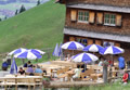 Gaisalpe
