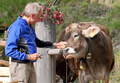 Tierliebe